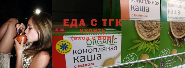 spice Баксан